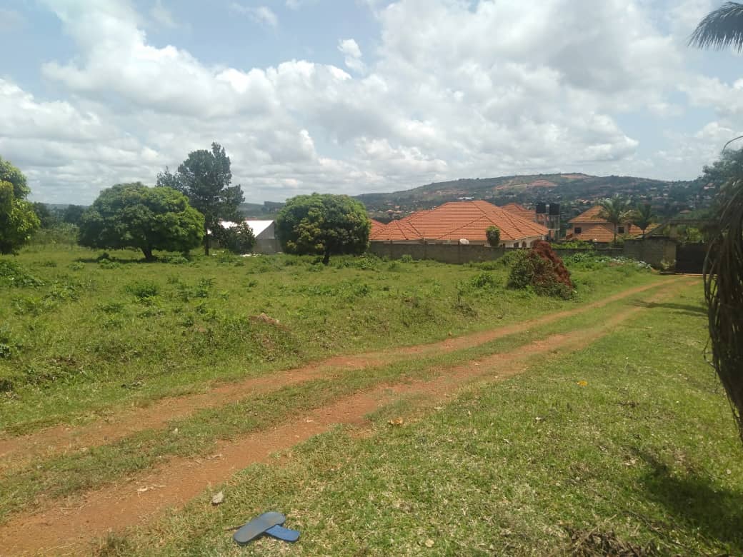 WhatsApp Image 2021-04-20 at 06.18.15.jpeg